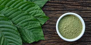kratom buy kratom online